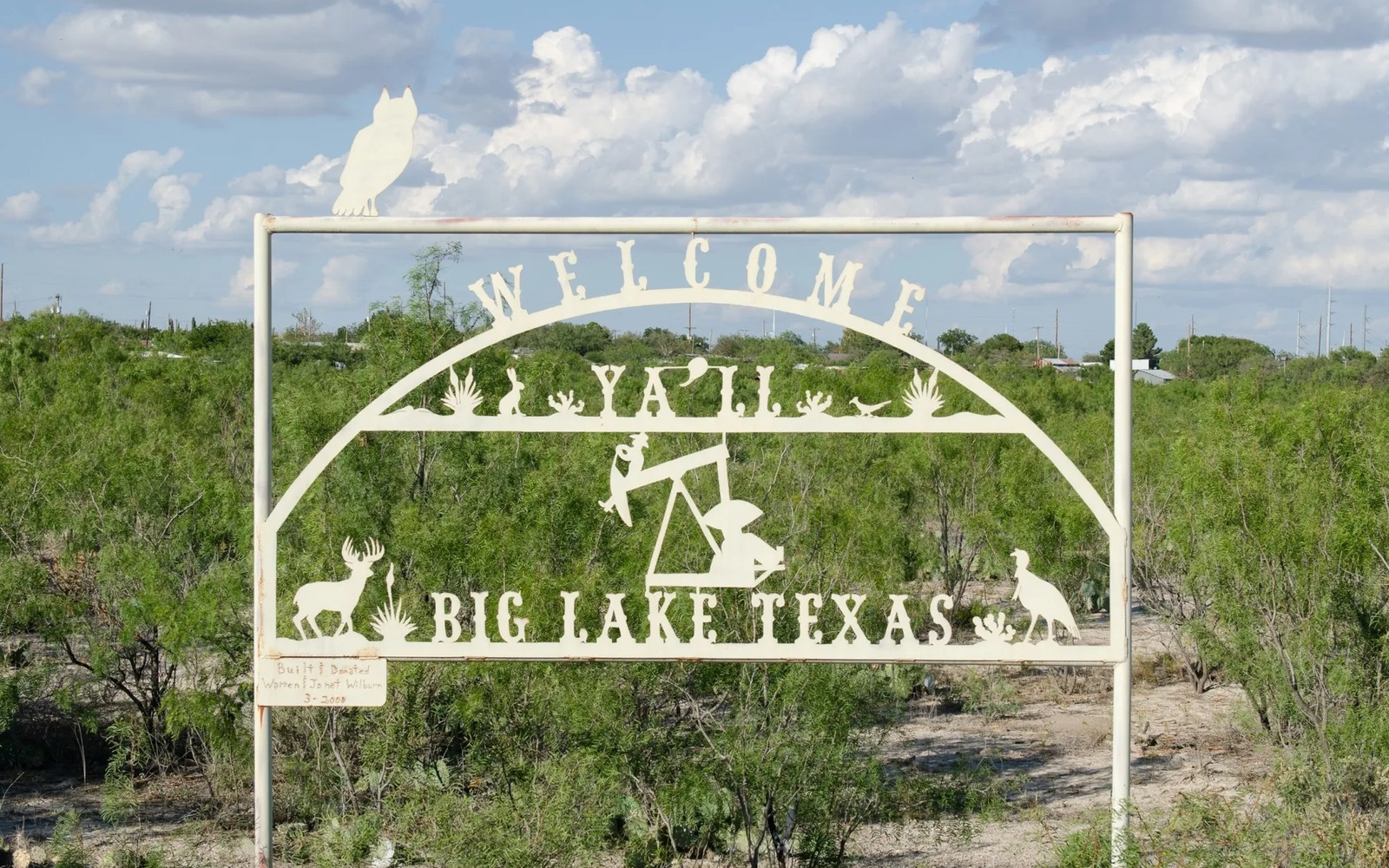 Local view for Sell Mineral Rights in Big Lake, TX